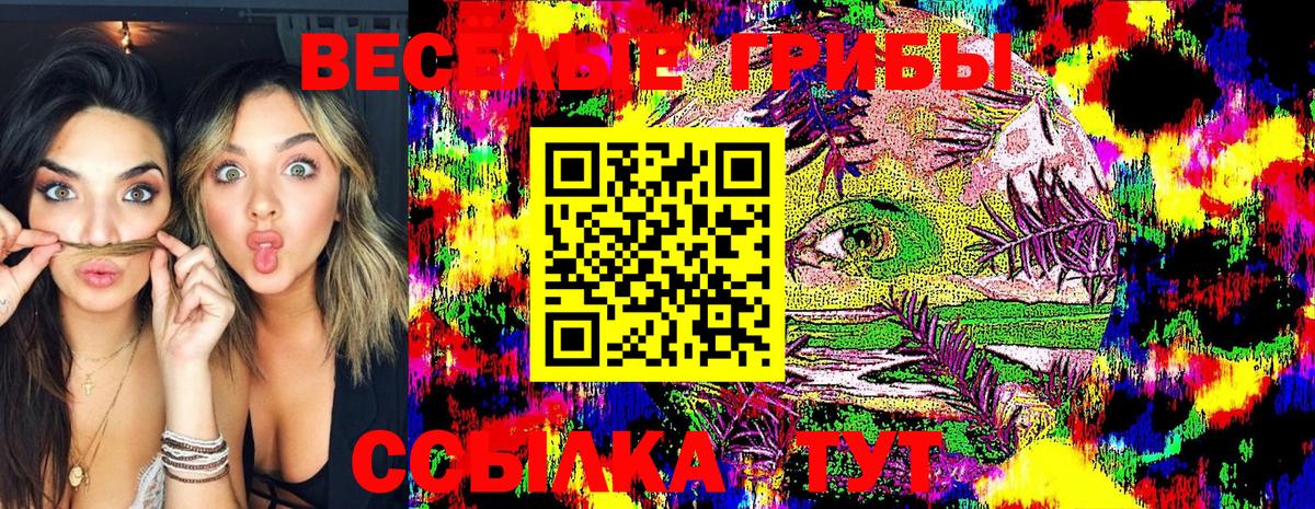 Чита  Галлюциногенные грибы MAGIC MUSHROOMS  Вход с VPN 