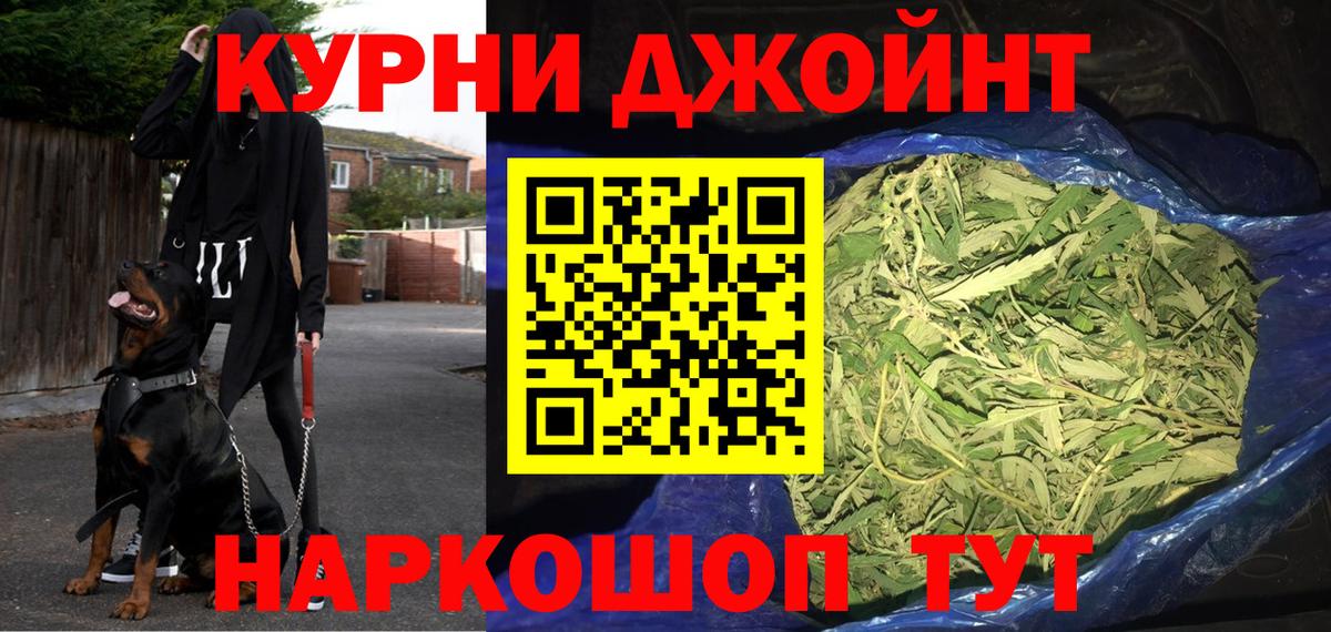 Канабис сатива Чита
